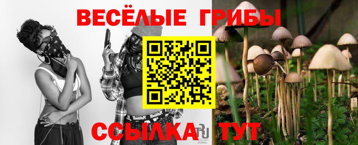 Галлюциногенные грибы ЛСД  Вход с VPN  Ивантеевка  Галлюциногенные грибы прущие грибы 